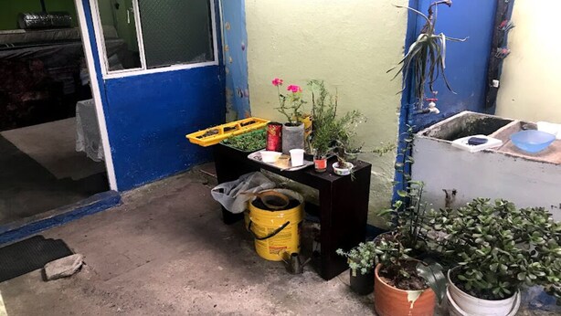 Un petit espace extérieur avec une porte bleue, une table ornée de plantes en pot, un seau jaune et un sol en béton.