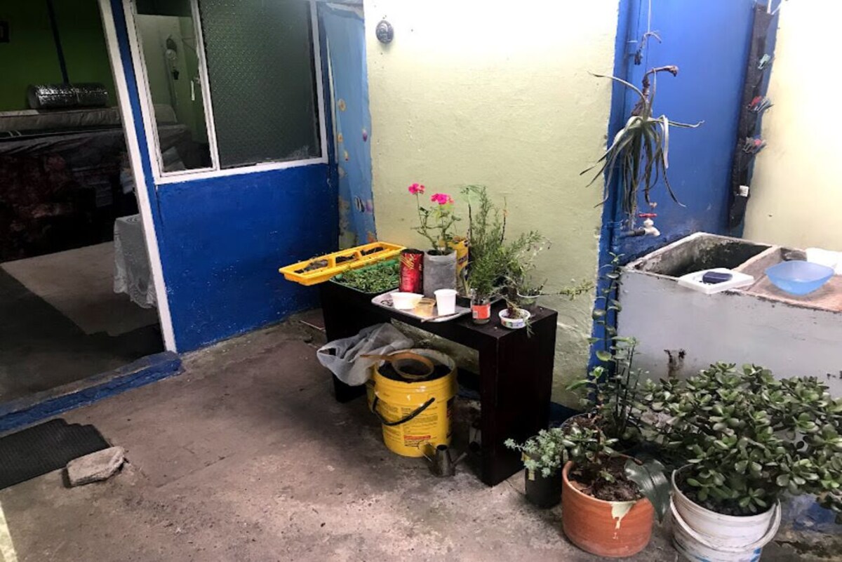 Imagen de perfil del propietario o de la propietaria