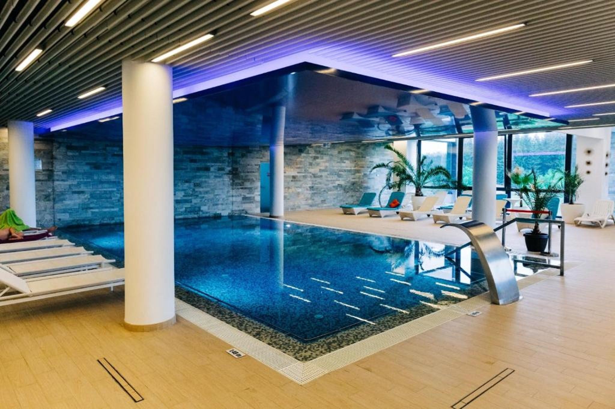 En inomhuspool med modern design, omgiven av avslappningsområden och krukväxter.