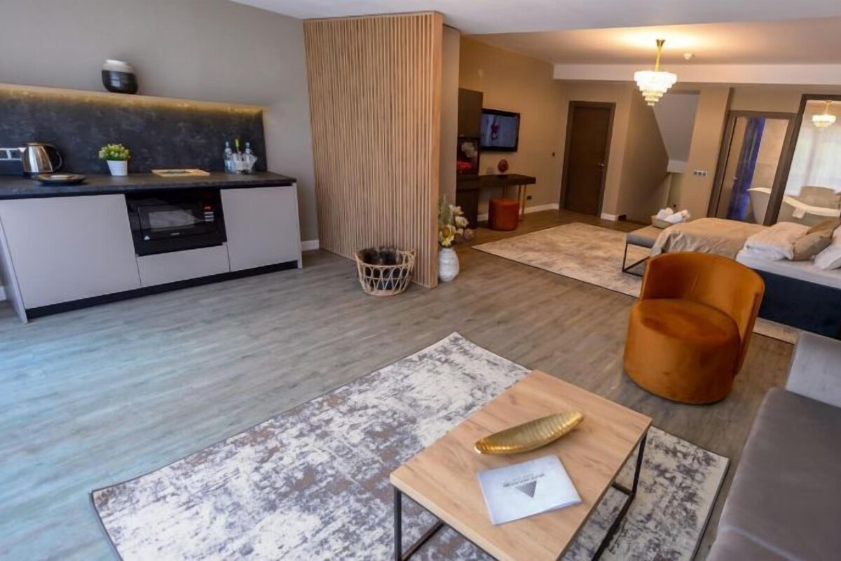 A modern living room with a sofa, a coffee table, and a chair. There is a kitchen area with a counter and a sink. A television is mounted on the wall.