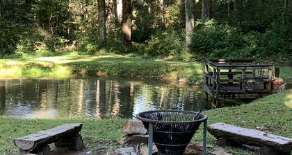 Happy mtn. home, enjoy 7 acres & 2 ponds, 1/2 mile to DuPont State Forest gate!
