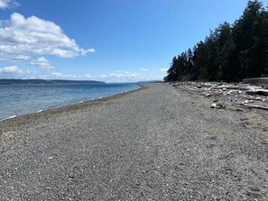 A pebbled beach with driftwood and trees.