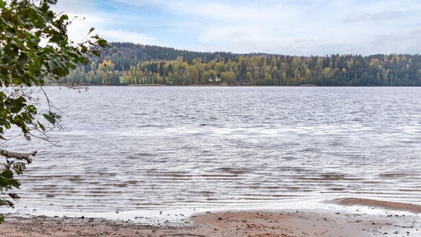 A lake with a forested shoreline and a sandy beach.