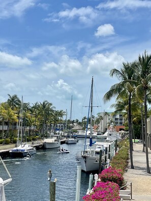 Marina - ARE YOU READY TO SPEND YOUR BEST HOLIDAYS AT SEA ??? (Key Largo)