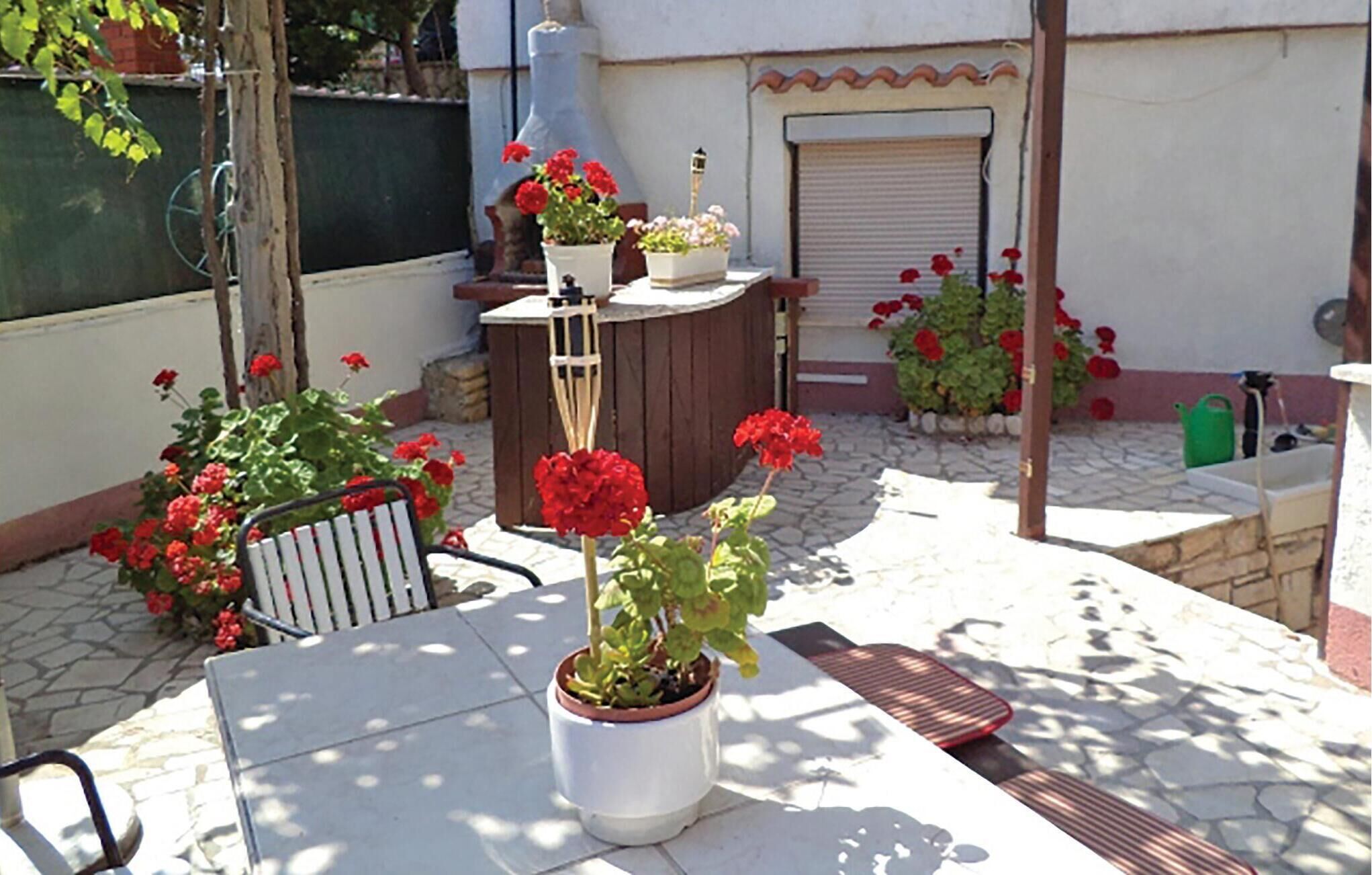 A patio with a table, chairs, potted plants, and a small wooden structure.
