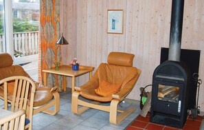 Una televisión, una chimenea, un reproductor de DVD