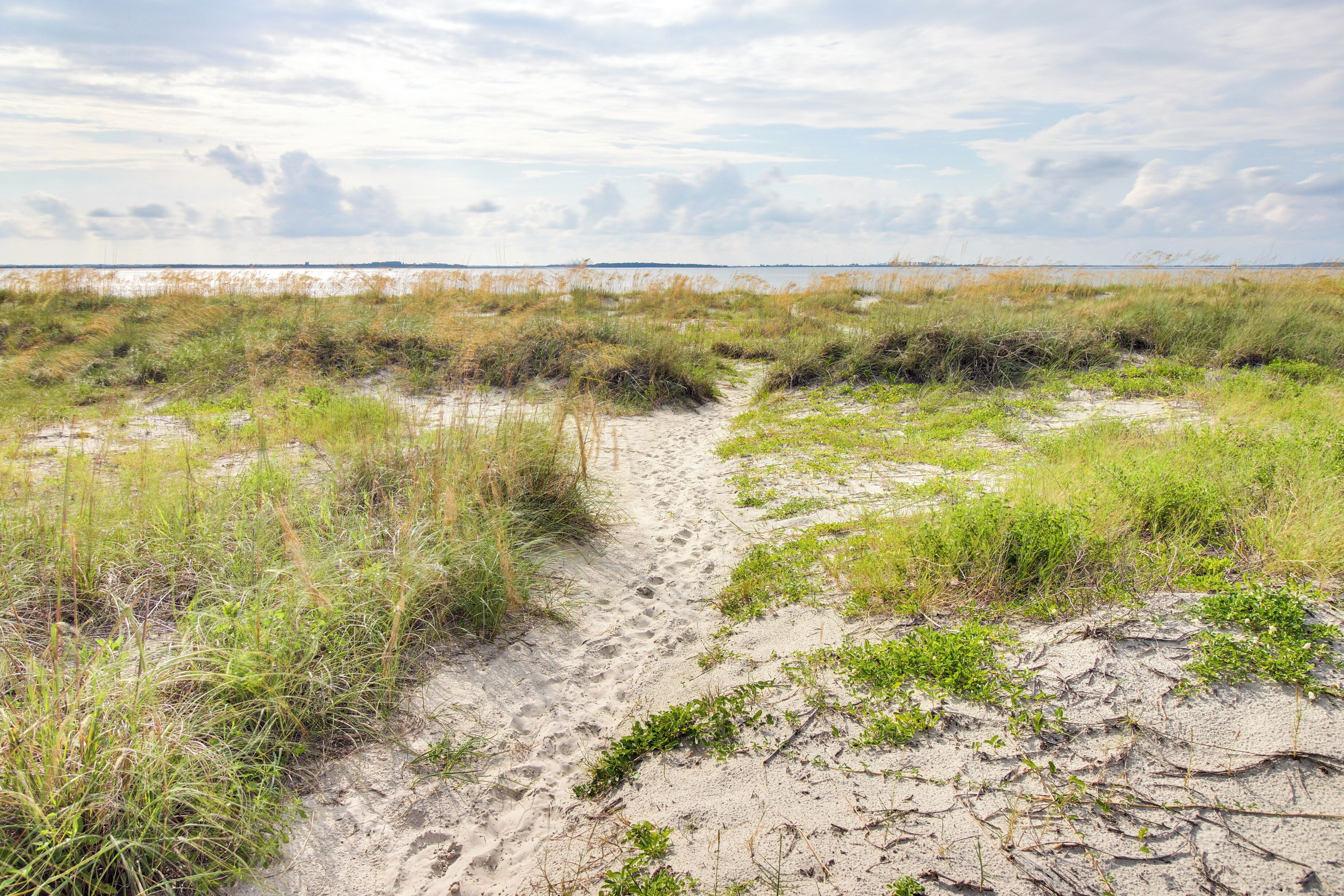 Tæt på stranden