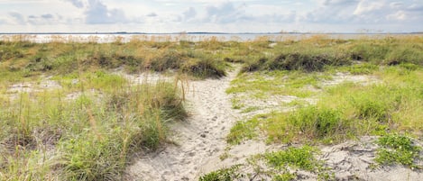 Nær stranden