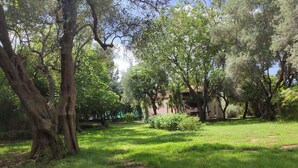 Un jardin luxuriant, avec de grands arbres et une pelouse bien entretenue.