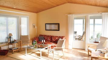 Eldstad, dvd-spelare och ett bordtennisbord