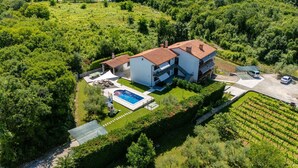 A two-story house with a swimming pool, surrounded by lush greenery and vineyards.