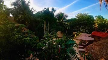 Vistas desde el alojamiento