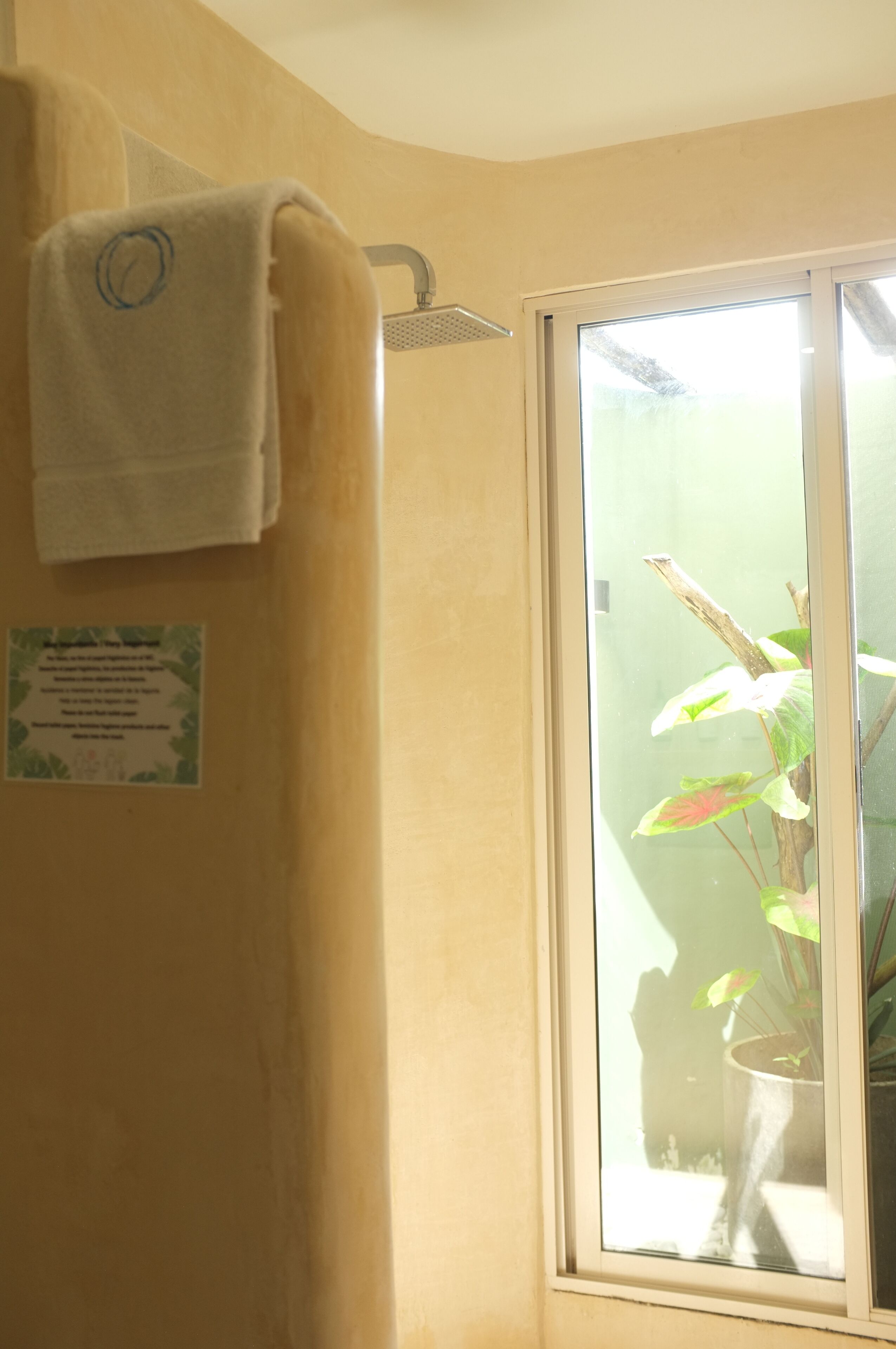 Foto - Hotel Circulo Bacalar