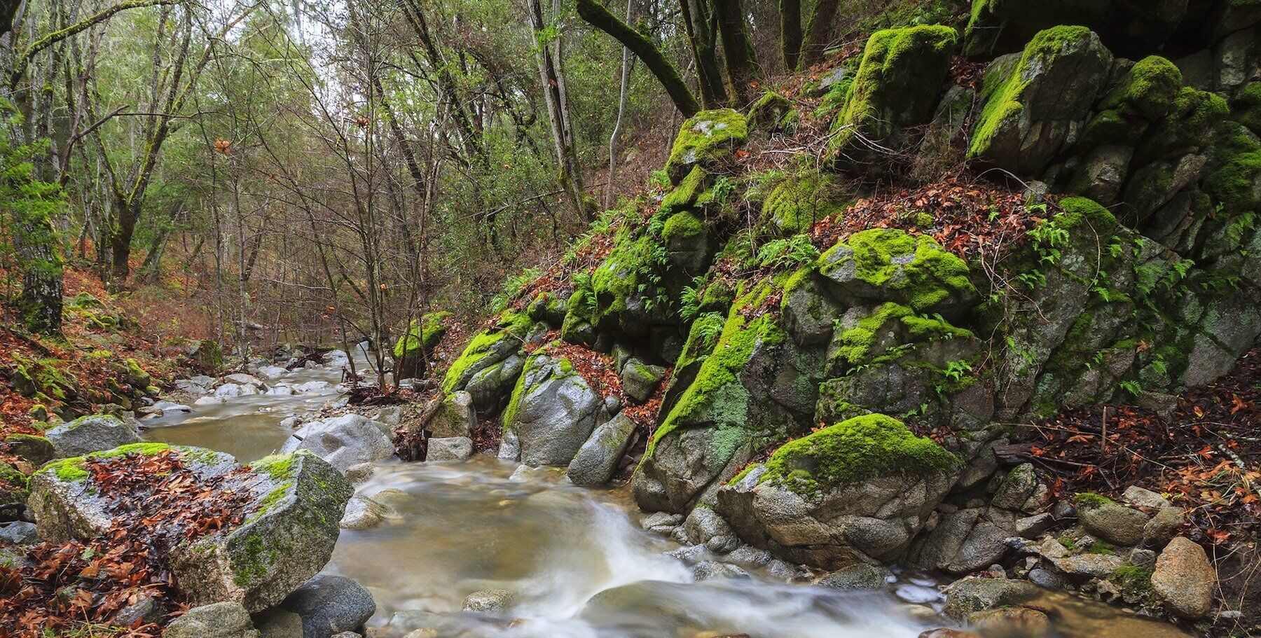 little cottage by the creek in santa lucia mountain range