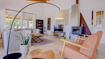 Una televisión, una chimenea, libros