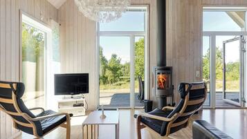 TV, fireplace, DVD player