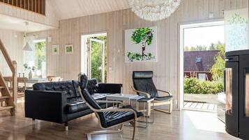 TV, fireplace, DVD player