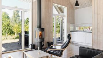 TV, fireplace, DVD player