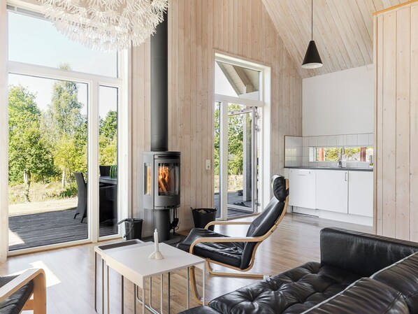 TV, fireplace, DVD player