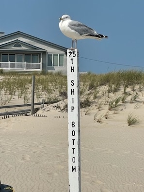 A beach sign with the text '25TH SHIP BOTTOM' and a seagull perched on top. - Single Family Home-Bay2Beach
Beautiful Sunrise on the Beach & Sunsets on the Bay (Ship Bottom)