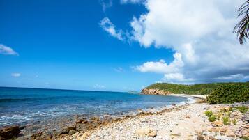 Plage à proximité, chaises longues, serviettes de plage