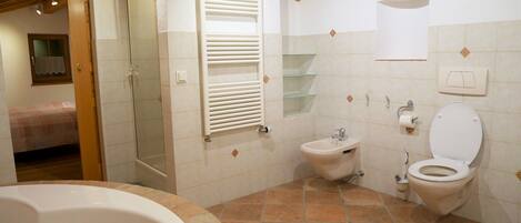 Shower, hair dryer, bidet, towels