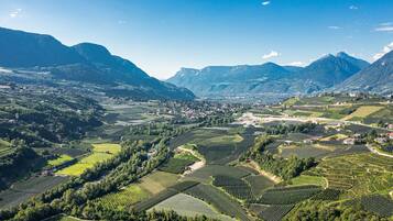 A mountainous landscape with terraced vineyards and a small village.