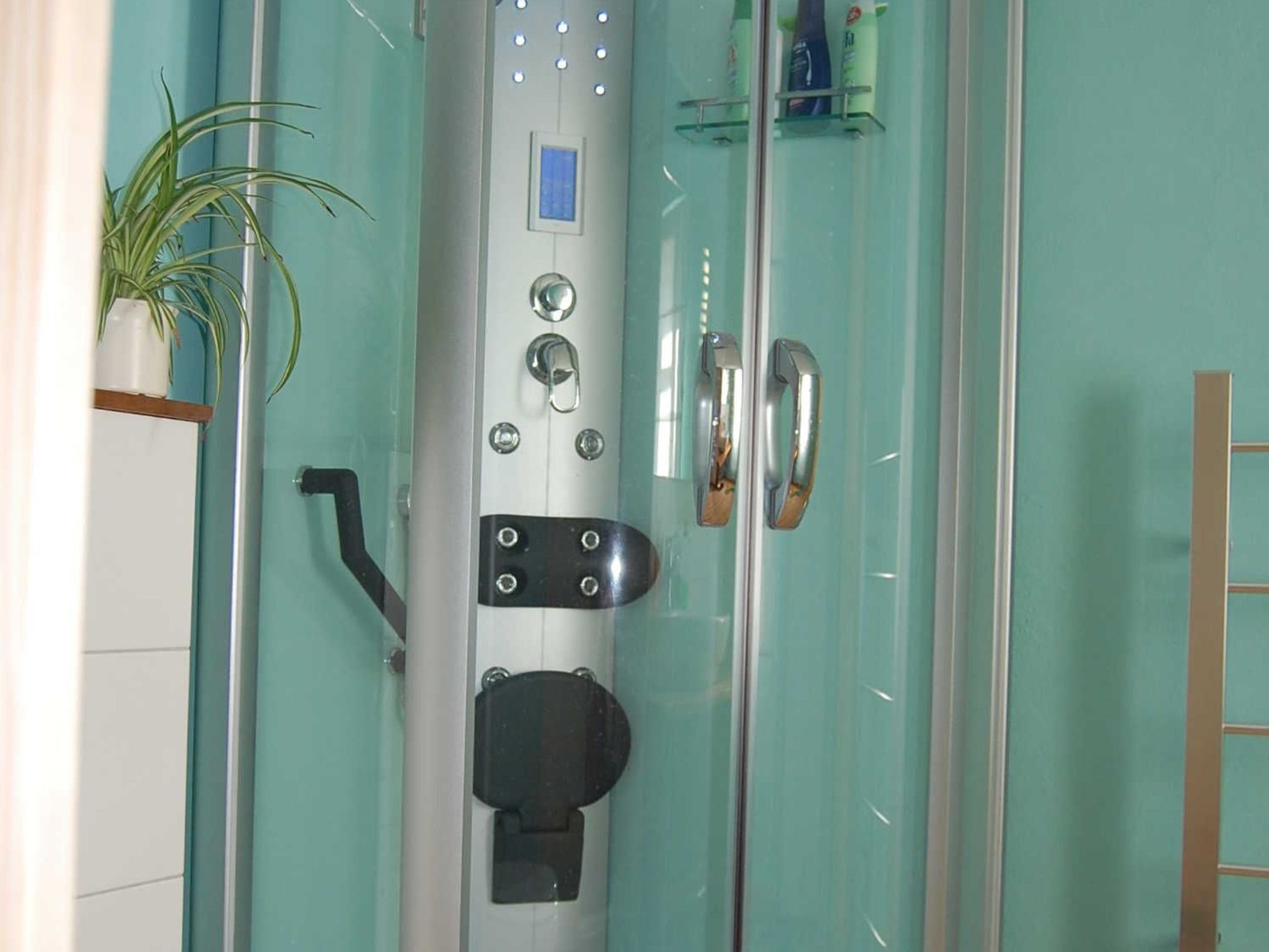 A bathroom with a glass shower enclosure, a potted plant, and a towel rack.