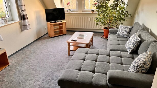Uma sala de estar com um sofá cinza, uma mesa de centro de madeira, uma televisão sobre um móvel e um vaso com planta.