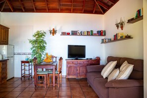 A living room with a brown sofa, a TV, and bookshelves.
