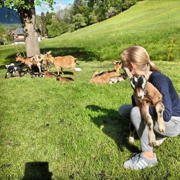 Unclassified image, 1 of 6, button