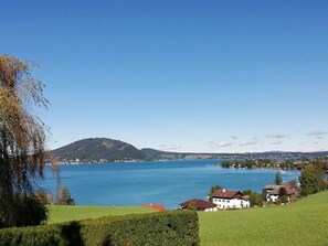 Unclassified image, 4 of 49, button