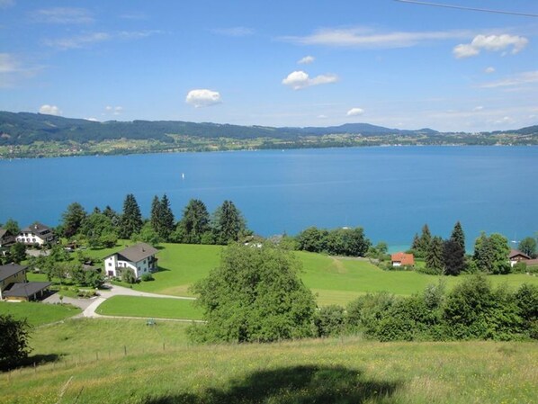 Imagen sin descripción, 1 de 48, botón