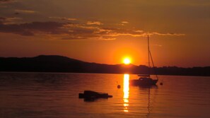 Unclassified image, 3 of 49, button