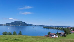 Unclassified image, 2 of 49, button