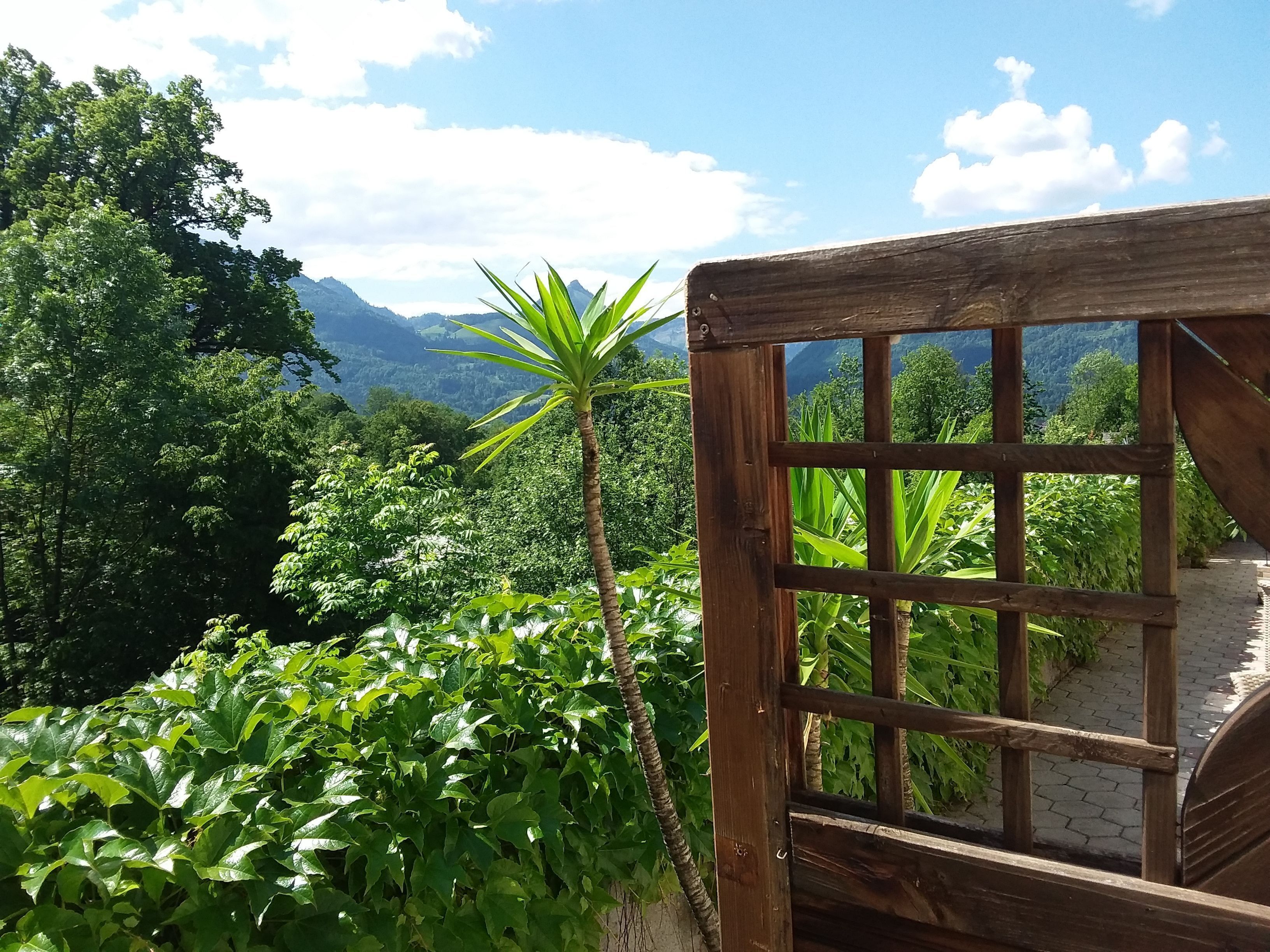 A wooden structure with a grid pattern, surrounded by lush greenery and a mountainous backdrop.