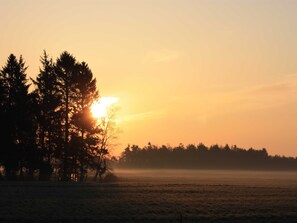 Imagen sin descripción, 4 de 19, botón