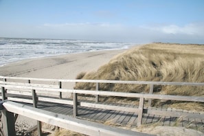 Playa en los alrededores