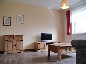 Fernseher