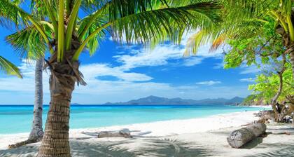 Royal 1 Bedroom Suite