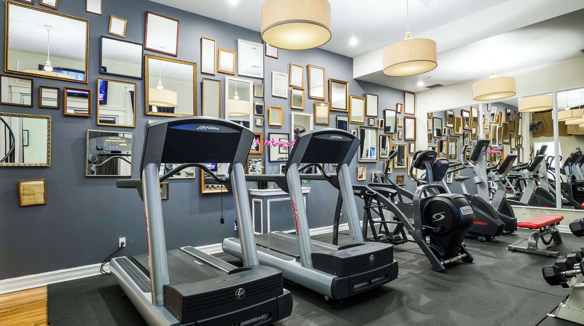 Kemudahan kecergasan