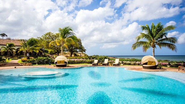 A clear blue pool with lounge chairs and palm trees, surrounded by a landscaped garden and a view of the ocean.