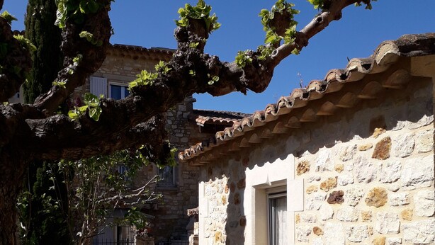 A stone building with a tiled roof, a window, and a tree with green leaves in the foreground. - Charmante maisonnette rénovée proche Uzès Charming little house near Uzès (Foissac)