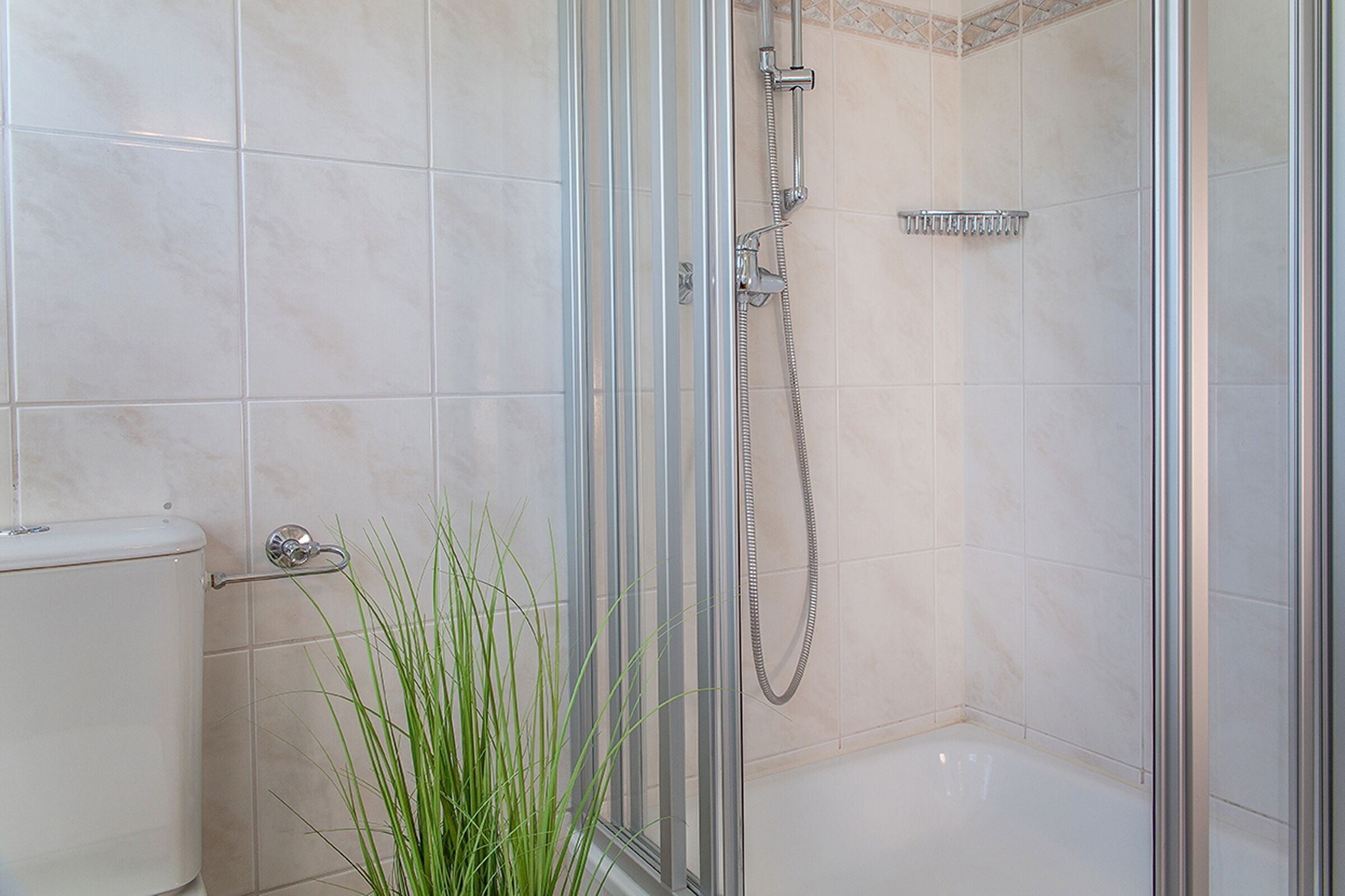 A modern bathroom with a glass-enclosed shower, a white toilet, and a potted plant.