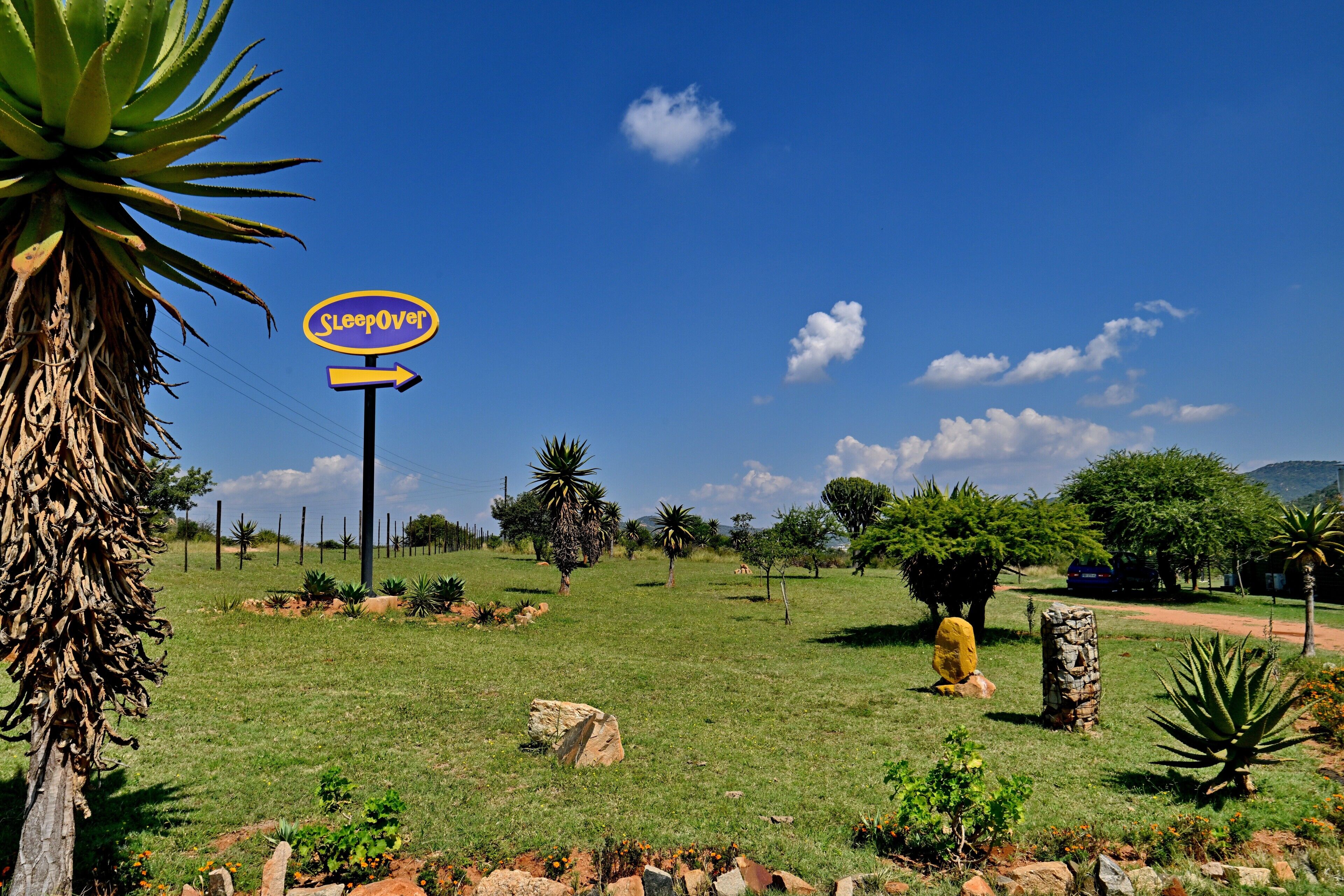 A signpost with "Sleepover" written on it, surrounded by a grassy field with various plants and a clear blue sky.