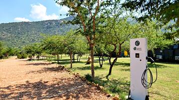 A solar-powered charging station in a park with trees and a mountain in the background.