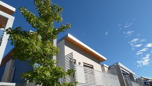 Eksteriør
