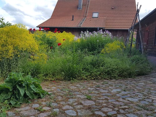 Twin David - Guest Eva-Maria and Reinhard K��hler