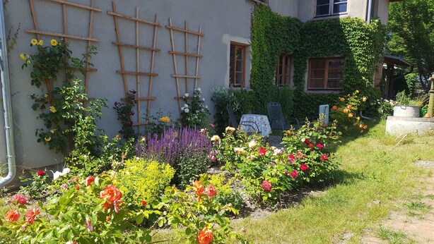A garden with various flowers and plants, a wooden trellis, and a house with ivy.