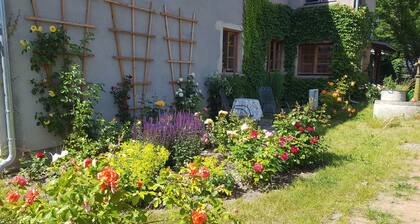 Cedar log cabin ZBZ Anna - Guesthouses Eva-Maria and Reinhard Köhler